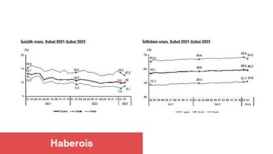 TÜİK: İşgücü İstatistikleri, Şubat 2023