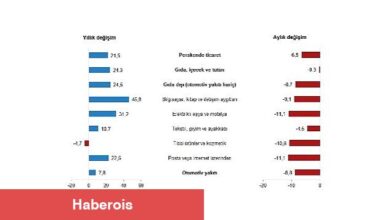 TÜİK: Perakende Satış Endeksleri, Şubat 2023