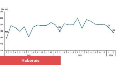 TÜİK: Tavuk eti üretimi 176 bin 236 ton, tavuk yumurtası üretimi 1,61 milyar adet olarak gerçekleşti - Haberois TÜİK: Tavuk eti üretimi 176 bin 236 ton, tavuk yumurtası üretimi 1,61 milyar adet olarak gerçekleşti
