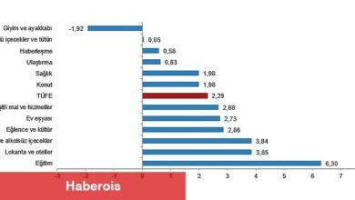TÜİK: Tüketici fiyat endeksi (TÜFE) yıllık %50,51, aylık %2,29 oldu - Haberois TÜİK: Tüketici fiyat endeksi (TÜFE) yıllık %50,51, aylık %2,29 oldu