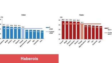 TÜİK: Türkiye'de doğuşta beklenen yaşam süresi 78,3 yıl oldu - Haberois TÜİK: Türkiye'de doğuşta beklenen yaşam süresi 78,3 yıl oldu