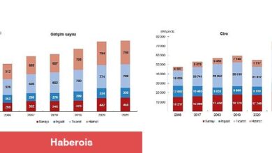 TÜİK: Yurt Dışında Kontrol Edilen Girişim İstatistikleri, 2021 - Haberois TÜİK: Yurt Dışında Kontrol Edilen Girişim İstatistikleri, 2021