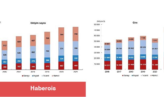 TÜİK: Yurt Dışında Kontrol Edilen Girişim İstatistikleri, 2021