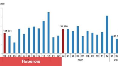 Türkiye genelinde Mart ayında 105 bin 476 konut satıldı