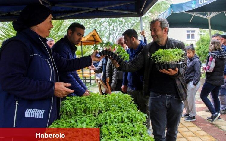 Ücretsiz fideyi alan tarlaya koştu - Haberois Ücretsiz fideyi alan tarlaya koştu