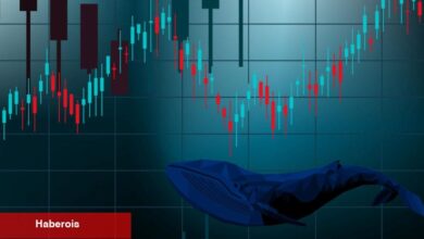 Ünlü Balinadan Altcoin İddiaları: Coin İsimleri Verdi!