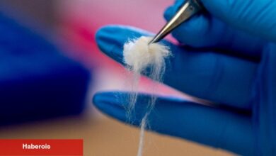 Yapay Zeka ve DNA Küresel Tedarik Zincirlerinin Gizemlerini Nasıl Çözüyor? - Haberois Yapay Zeka ve DNA Küresel Tedarik Zincirlerinin Gizemlerini Nasıl Çözüyor?