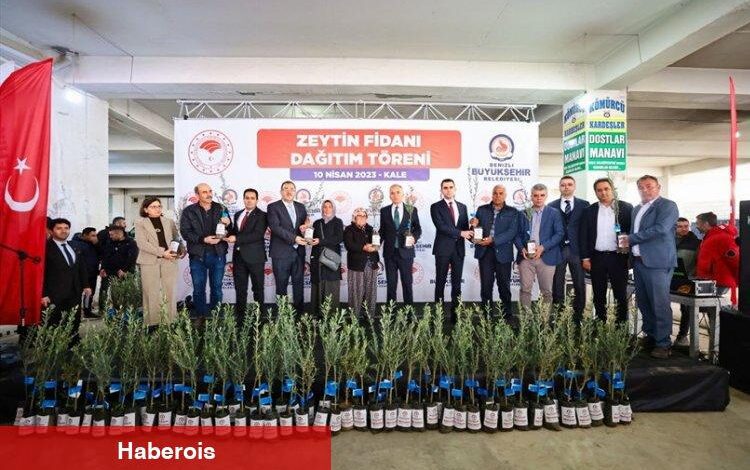 Zeytin üreticisine fidan desteği - Haberois Zeytin üreticisine fidan desteği