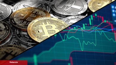 2 Şirket Kriptodan Çıkıyor! Ellerinde Bu 12 Altcoin Var!