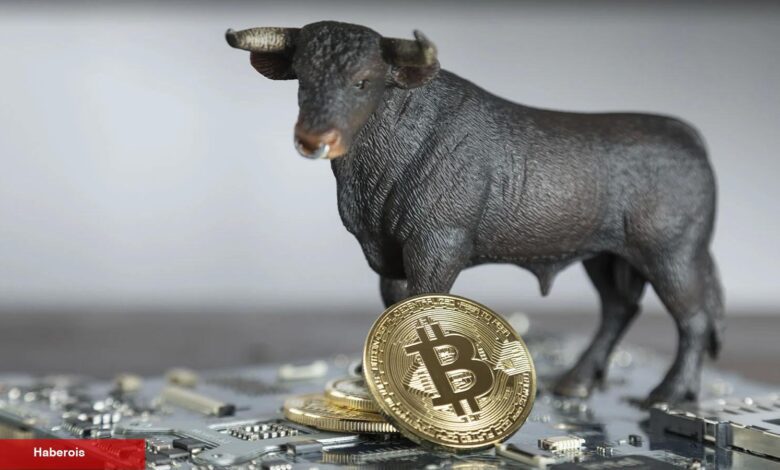 3 Analist: Bitcoin ve Altcoin Yükselişi Bu Tarihte Başlıyor! - Haberois 3 Analist: Bitcoin ve Altcoin Yükselişi Bu Tarihte Başlıyor!