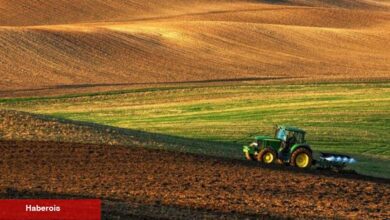 AB tarım eserleri ticaretinde fazla verdi - Haberois AB tarım eserleri ticaretinde fazla verdi