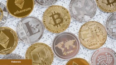 ABD Yatırım Devi, Bu Altcoin’den Yüklüce Almış Olabilir!