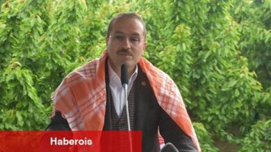 AK Partili Kırkpınar ilk kiraz hasadına katıldı - Haberois AK Partili Kırkpınar ilk kiraz hasadına katıldı