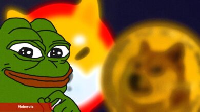 Analistten Çok Konuşulacak PEPE, SHIB ve DOGE Tahmini!