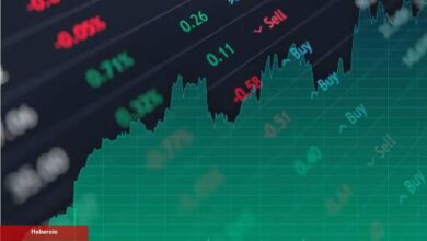 Artık Dikkat Etmeniz Gereken 5 Altcoin Açıklandı!