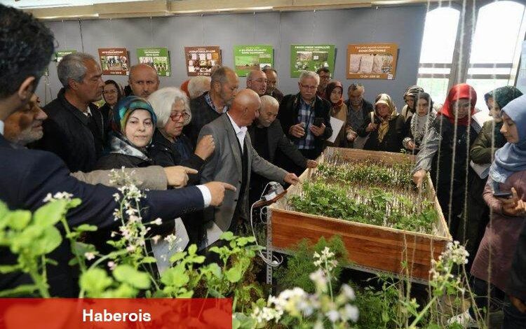 Aşı ordusu kuruldu - Haberois Aşı ordusu kuruldu