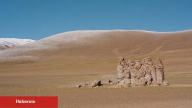 Atacama Çölü'nde Neler Hayatta Kalır?