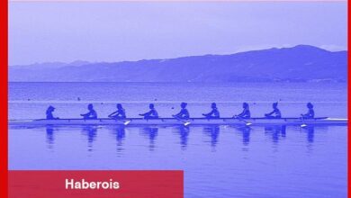 Bahar Kupası Kürek Yarışları Sakarya'da Yapılacak - Haberois Bahar Kupası Kürek Yarışları Sakarya'da Yapılacak
