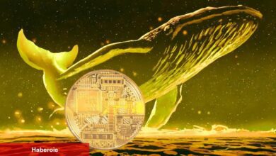 Balinalar Hangi Coinleri Alıyor? Bu 4 Altcoin Listede! - Haberois Balinalar Hangi Coinleri Alıyor? Bu 4 Altcoin Listede!