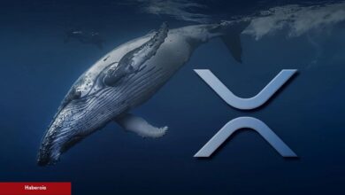 Balinalar Ripple (XRP)’a Akın Etti! Fiyat Nereye Gidiyor?