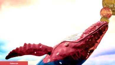 Balinalardan Muazzam Altcoin Satışı! Neler Oluyor?