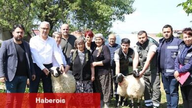 Başkan Çerçioğlu'ndan Koyunları Telef Olan Üretici Kadına Destek