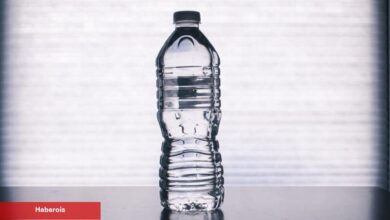 Bilim insanları, düşük sıcaklıklarda plastikleri sindirebilen mikroplar keşfetti