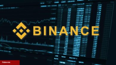 Binance Balinaları Bu Altcoin’i Torbalarca Alıyor! - Haberois Binance Balinaları Bu Altcoin’i Torbalarca Alıyor!