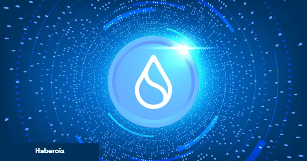 Binance ve Borsalar Listeliyor: İşte SUI Coin Hakkında Her Şey!