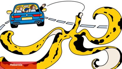 Bir Muz Kabuğu Evliliğimi Sorgulamama Neden Oldu. Kim Haklı? - Haberois Bir Muz Kabuğu Evliliğimi Sorgulamama Neden Oldu. Kim Haklı?