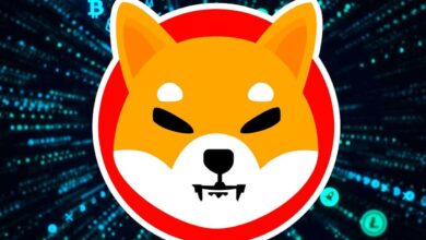 Bir Trader, SHIB ve Bu Coinler ile Çılgın Kârlar Topladı!