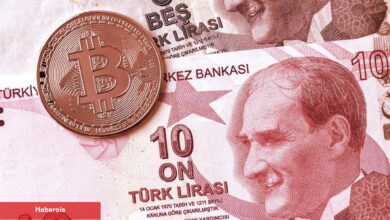 Bitcoin Düşerken Türklerin Gözü Bu 10 Altcoin’de! - Haberois Bitcoin Düşerken Türklerin Gözü Bu 10 Altcoin’de!