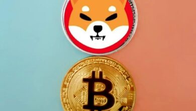 Bitcoin, SHIB’i Devirdi: Herkes Bu Altcoinin Peşinde!