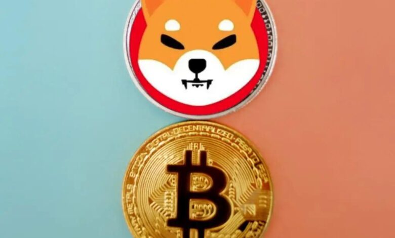 Bitcoin, SHIB’i Devirdi: Herkes Bu Altcoinin Peşinde!