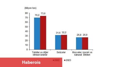 Bitkisel üretimin bir önceki yıla göre artacağı tahmin edildi