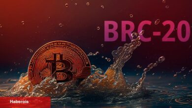 BRC-20 Coinleri Sıradaki Büyük Şey mi? Bilmeniz Gereken Her Şey! - Haberois BRC-20 Coinleri Sıradaki Büyük Şey mi? Bilmeniz Gereken Her Şey!