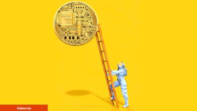 Bu 12 Altcoin Not Alınmalı: On-Chain’de Liderler!