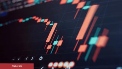 Bu Altcoin Borsalardan Süratle Çekiliyor! Sebebi Nedir?