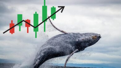 Bu Altcoin Devasa Transfer Görüyor! Bu Neyin Habercisi? - Haberois Bu Altcoin Devasa Transfer Görüyor! Bu Neyin Habercisi?