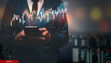 Bu Altcoin Yeni İştirakini Duyurdu: 50x Bekleniyor! - Haberois Bu Altcoin Yeni İştirakini Duyurdu: 50x Bekleniyor!