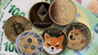 Bu Göğüs Coin Yatırımcıları Ziyanda, ADA Bir Kavşak Noktasında!