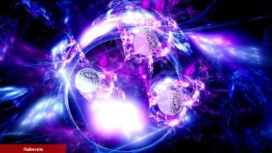 Bugün Bitcoin Düşerken Bu 3 Altcoin Trend Oldu!