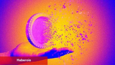 Bugün Bu 24 Altcoin İçin Kritik: İşte Olacaklar Listesi!