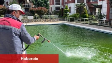 Burhaniye Belediyesi Sinek ve Haşeresiz Yaz İçin İlaçlama Çalışmaları Hız Kazandı - Haberois Burhaniye Belediyesi Sinek ve Haşeresiz Yaz İçin İlaçlama Çalışmaları Hız Kazandı