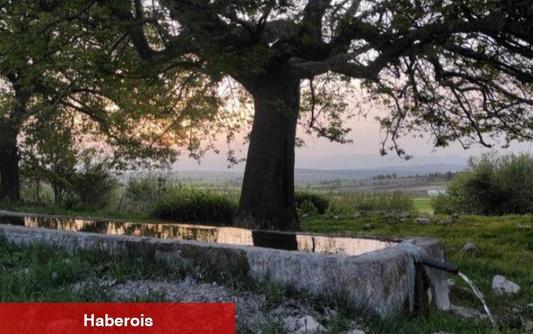 Bursa Yenişehir'de 15 yıldır dere suyu içiyorlar! - Haberois Bursa Yenişehir'de 15 yıldır dere suyu içiyorlar!