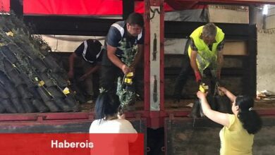 Deprem kentleri "Başka Bir Tarım Mümkün" anlayışı ile kalkınıyor İzmir'den Osmaniye'ye 20 bin zeytin fidanı