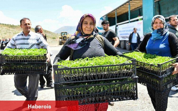 Depremzede çiftçilere 2 milyon fide hibe