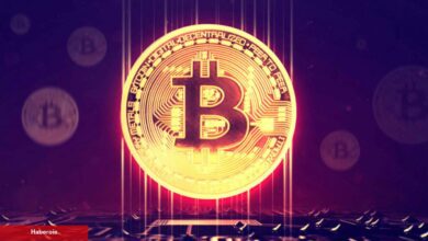 Dev Bitcoin İddiacısı: Bu Düzeylere Düşeceğiz! - Haberois Dev Bitcoin İddiacısı: Bu Düzeylere Düşeceğiz!