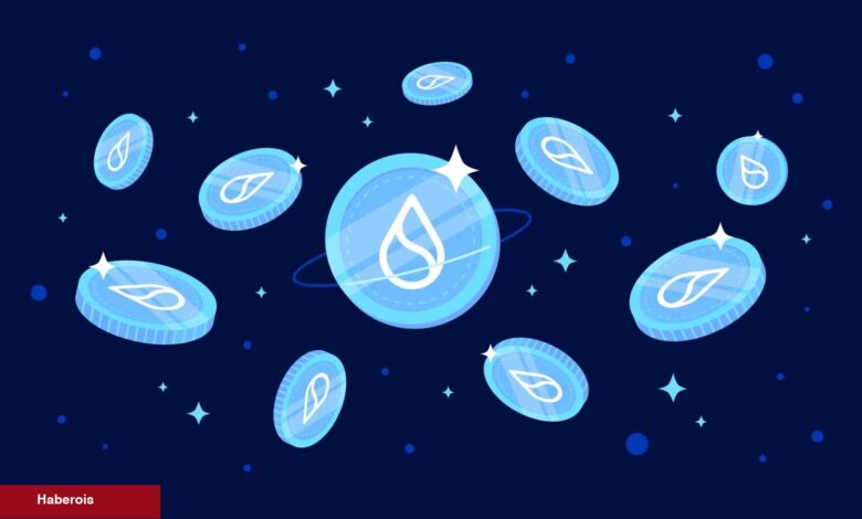 Dev Borsalarda Sui Network Listelendi: Fiyat Ne Oldu?