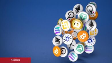 Dev Yatırım Şirketi, Bu 3 Kripto Para İçin Fon Kuruyor!